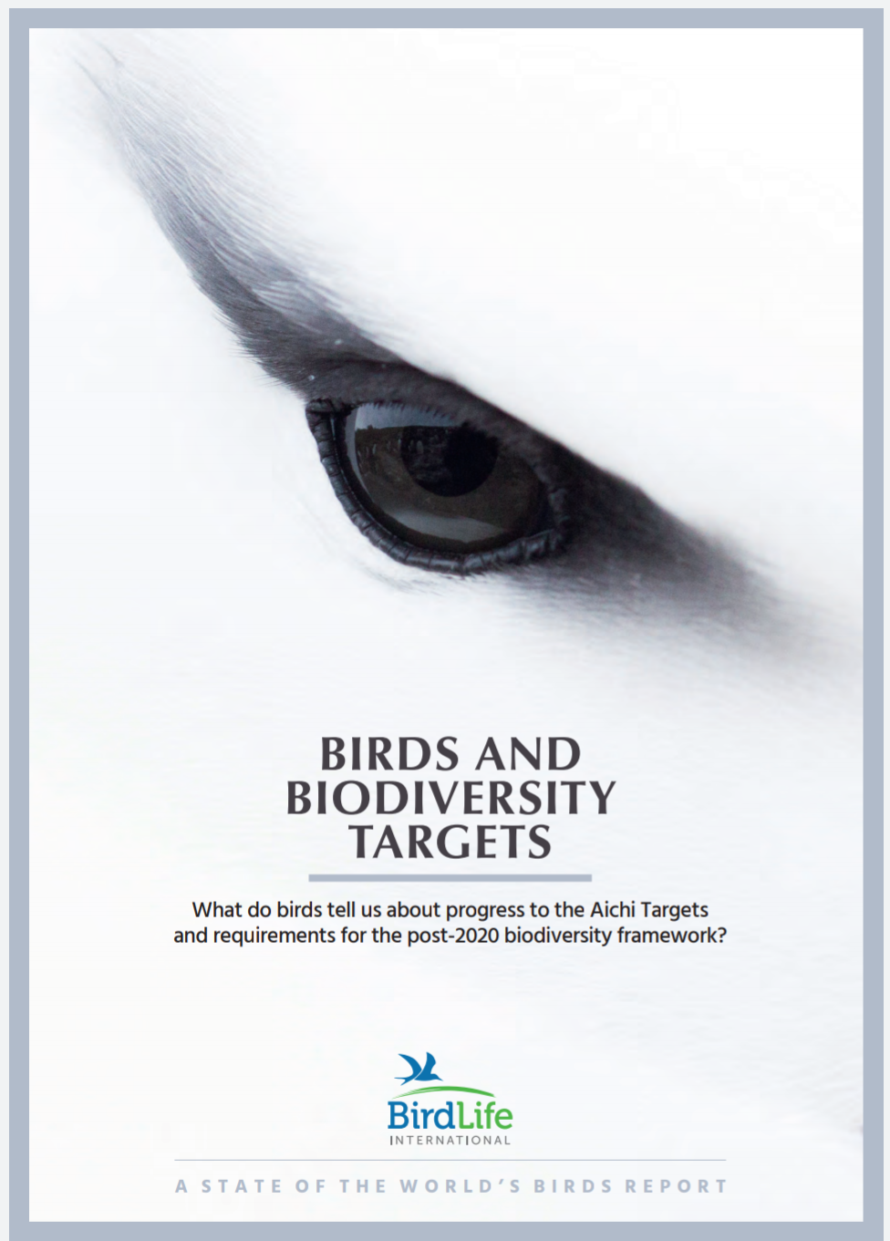Birds and Biodiversity Targets Report