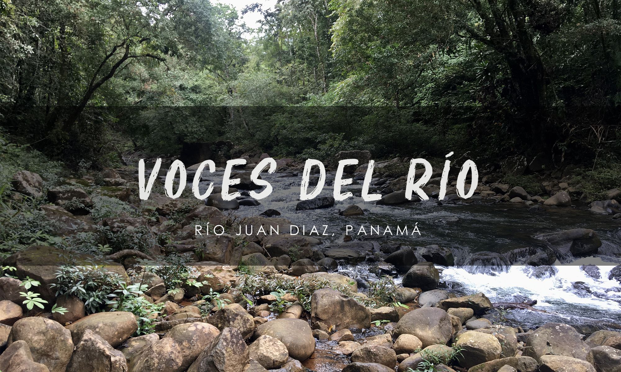 Comunicado de Prensa - Voces del Río